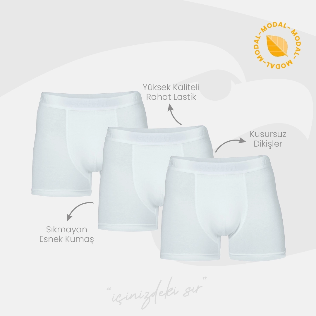 Şahin 6 Adet Erkek Modal Likralı Boxer 70055