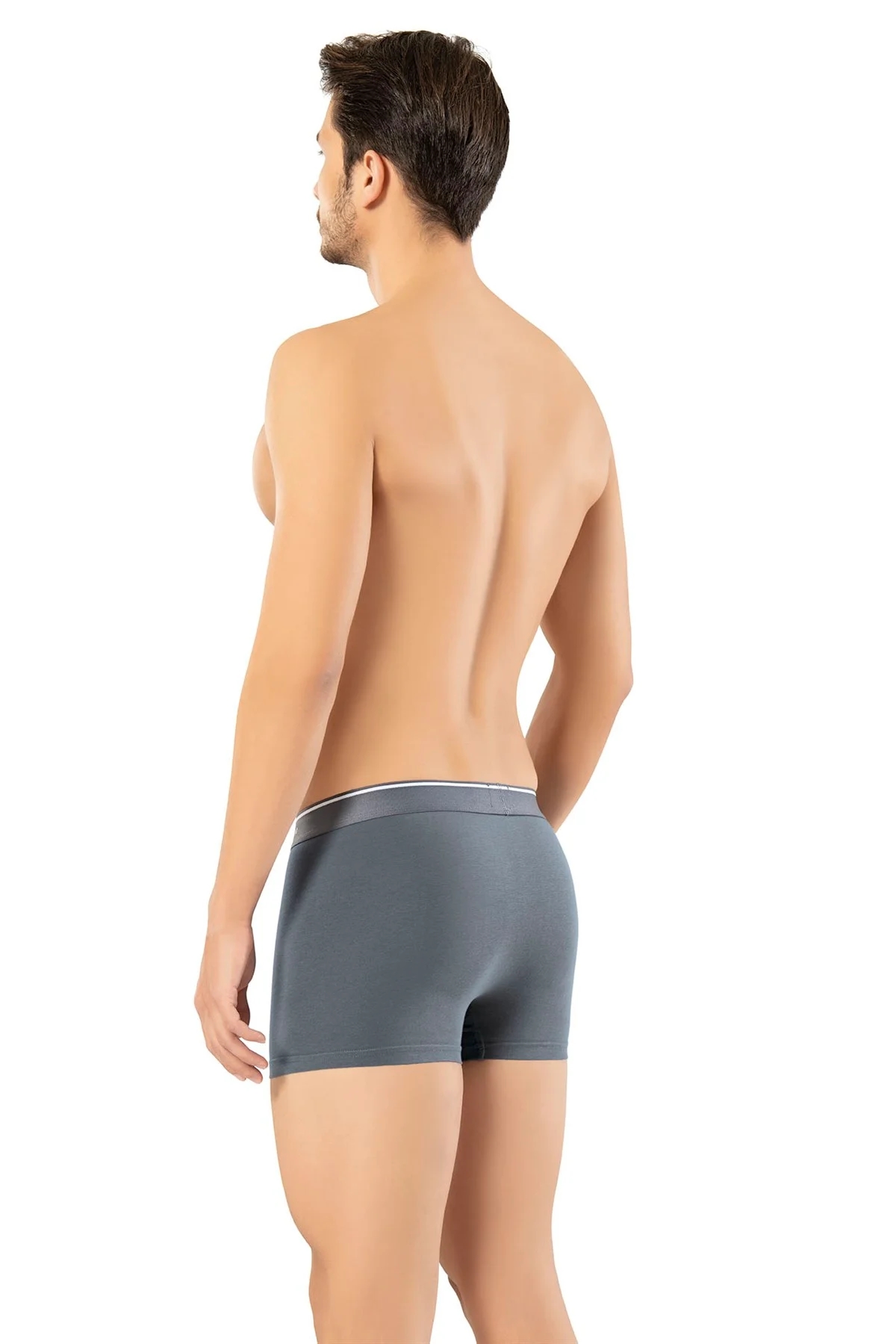 Erdem 6 Adet Erkek Pamuk Elastan Klasik Boxer 1445