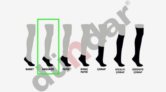 Dündar 12 Çift Kadın Modal Sneaker Çorap