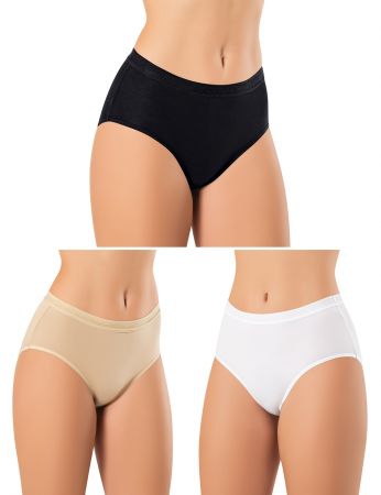 Şahinler Kadın 6 Adet Modal Yüksek Bel Külot MB3082