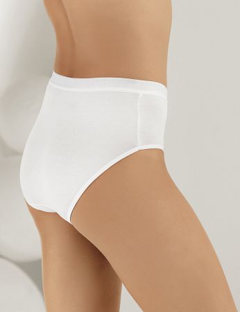 Şahinler Kadın 6 Adet Modal Yüksek Bel Külot MB3082