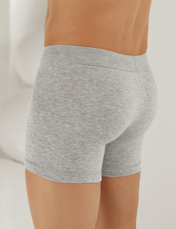 Şahinler Likralı Şahinler Yazılı Torbalı Boxer Gri ME031